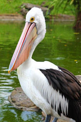 Similar image 587269