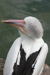 Similar image 587282