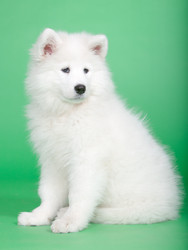 Similar image 587287