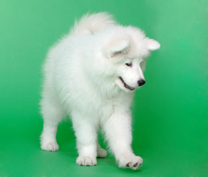 Similar image 587292