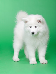 Similar image 587299