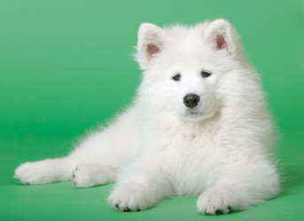 Similar image 587300