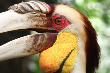 Similar image 587321