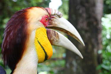 Similar image 587323