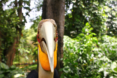 Similar image 587324