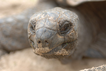 Similar image 587331