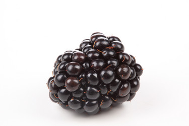 Similar image 587346