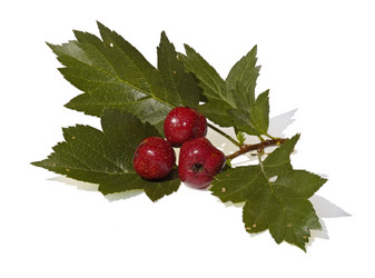 Similar image 587350