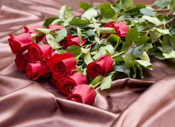 Similar image 587371