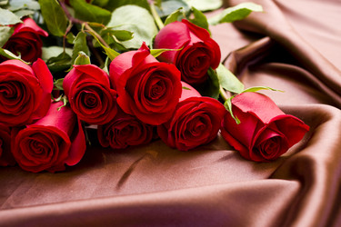 Similar image 587372