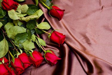 Similar image 587374