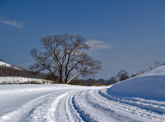 Similar image 587479