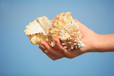 Similar image 587530