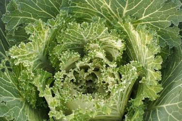 Similar image 587590