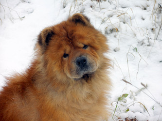 Similar image 587600