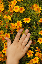 Similar image 587604