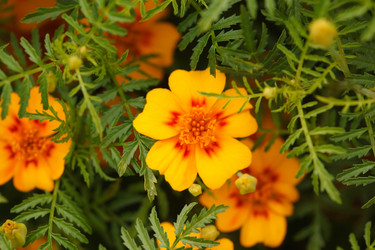 Similar image 587605