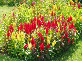 Similar image 587633