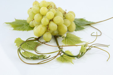 Similar image 587729