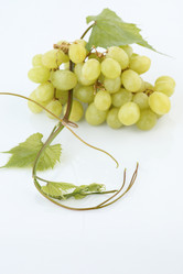 Similar image 587731