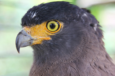 Similar image 587835