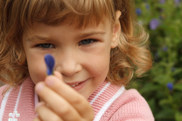 Similar image 588055