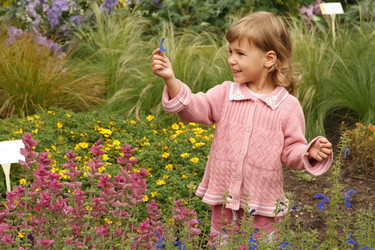 Similar image 588057