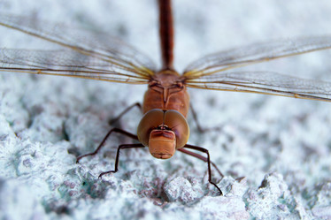 Similar image 588062