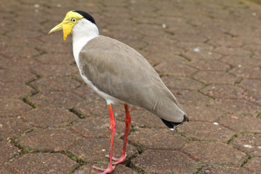 Similar image 588082