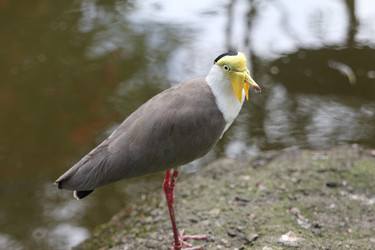 Similar image 588083