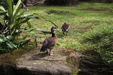 Similar image 588106