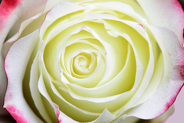 Similar image 588142