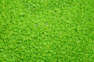 Similar image 588180