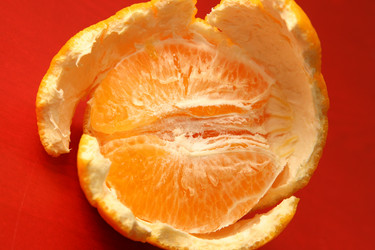 Similar image 588298