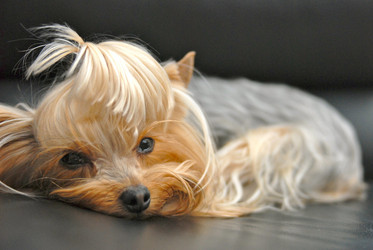 Similar image 588391