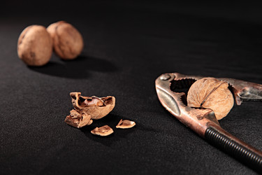 Similar image 588400