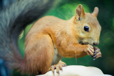 Similar image 588445