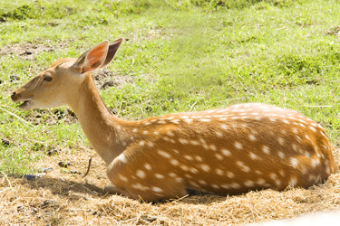 Similar image 588488