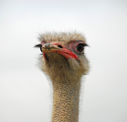 Similar image 588518