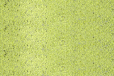 Similar image 588531