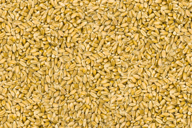 Similar image 588546