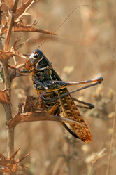 Similar image 588568