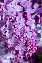 Similar image 588580