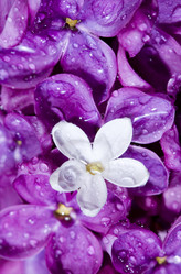 Similar image 588588