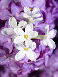 Similar image 588589