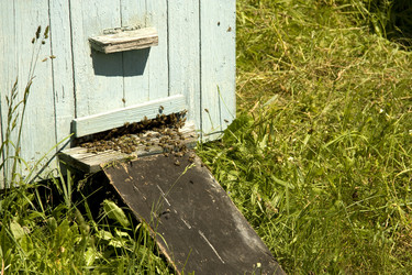 Similar image 588601