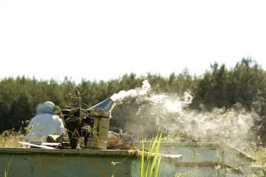 Similar image 588614