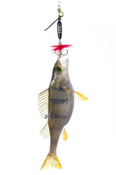 Similar image 588678