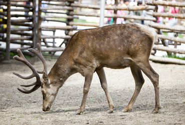 Similar image 588783