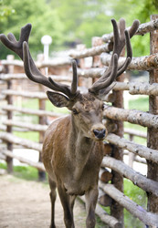 Similar image 588785